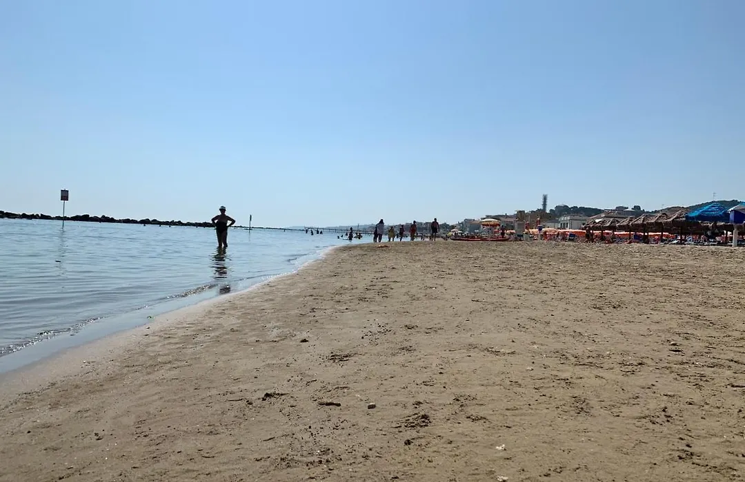 B&b Falcone-1