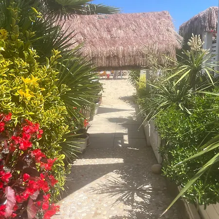 VALLELY la collina sul mare B&B d'Abruzzo-3